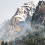 Landscape Shots - A mountain covered in fog and trees