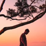 Photo Editing - A Photography Of A Man Standing On A Tree